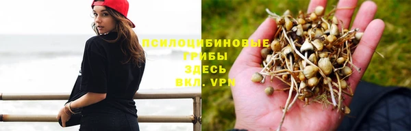 бутират Алексеевка