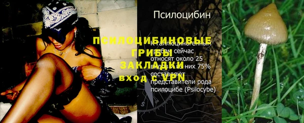 кокс Алзамай