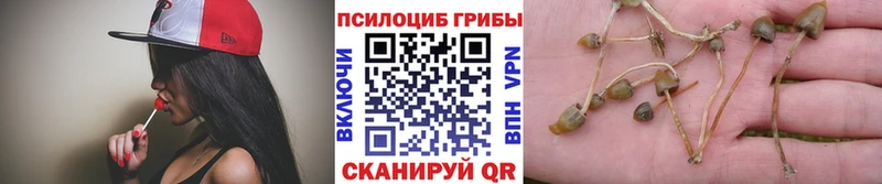 Псилоцибиновые грибы прущие грибы  Калач-на-Дону 